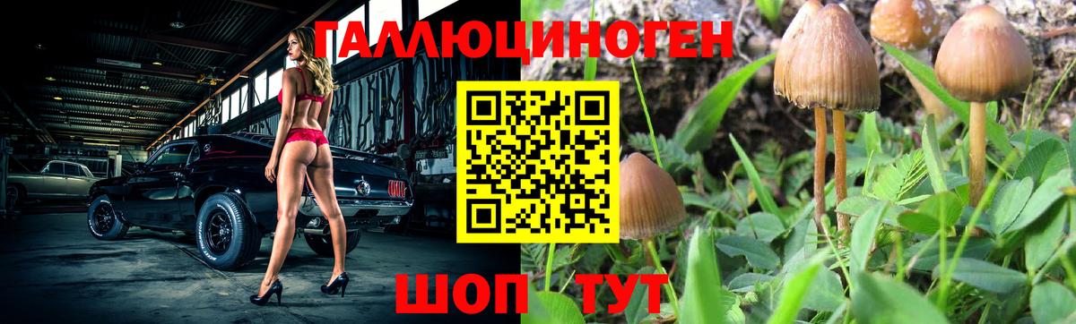 Галлюциногенные грибы Magic Shrooms  Вход с VPN  Псилоцибиновые грибы GOLDEN TEACHER  Черногорск 